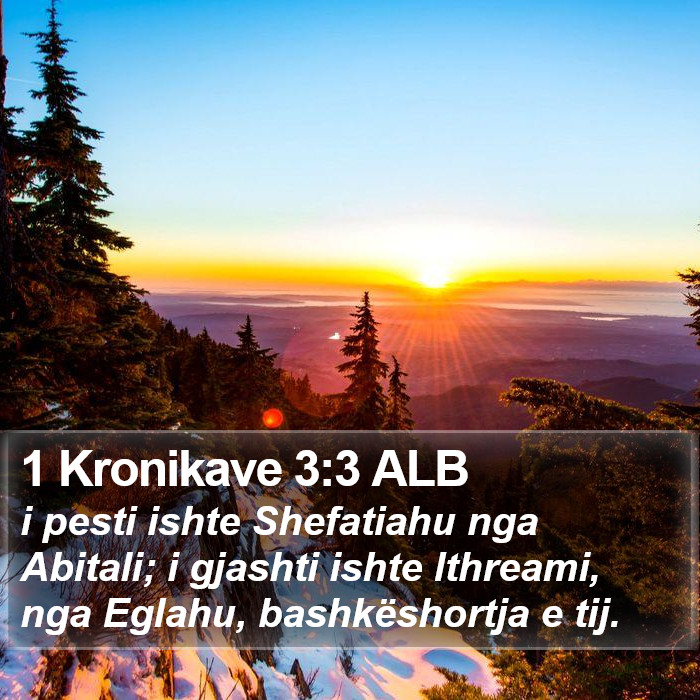 1 Kronikave 3:3 ALB Bible Study