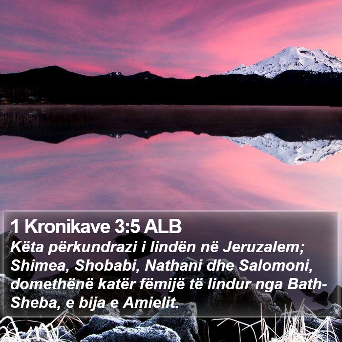 1 Kronikave 3:5 ALB Bible Study