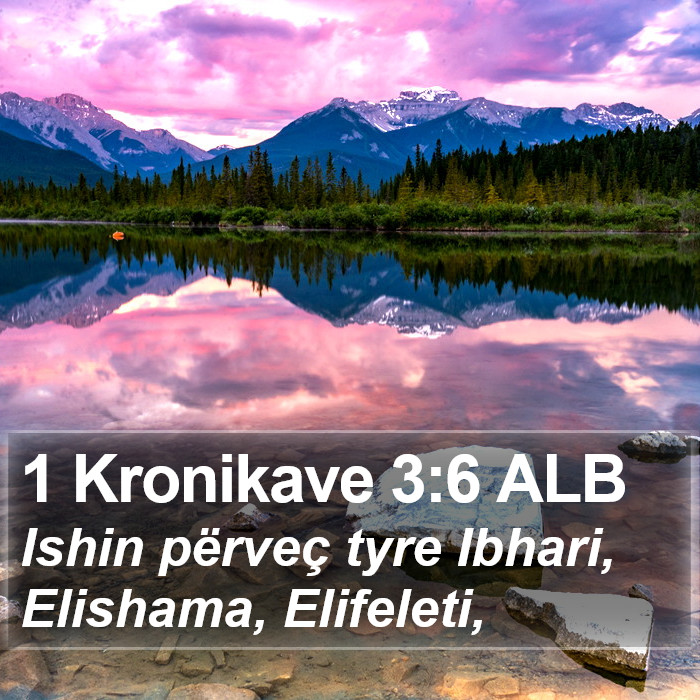 1 Kronikave 3:6 ALB Bible Study