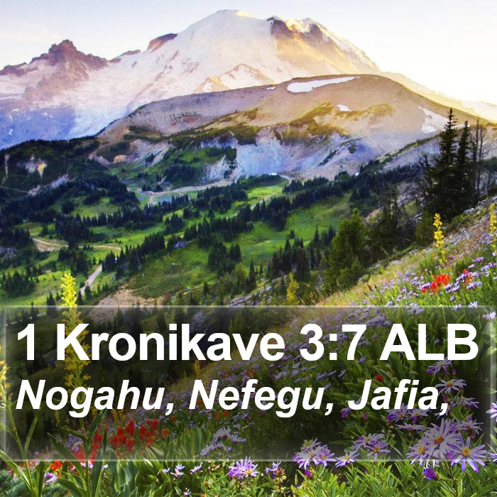 1 Kronikave 3:7 ALB Bible Study