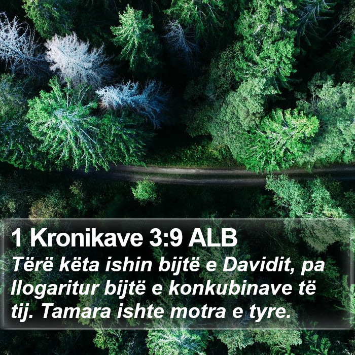 1 Kronikave 3:9 ALB Bible Study