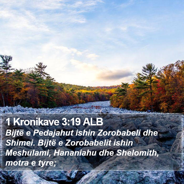 1 Kronikave 3:19 ALB Bible Study