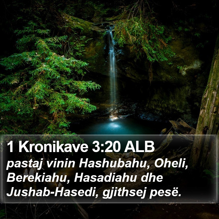 1 Kronikave 3:20 ALB Bible Study