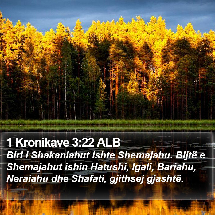 1 Kronikave 3:22 ALB Bible Study