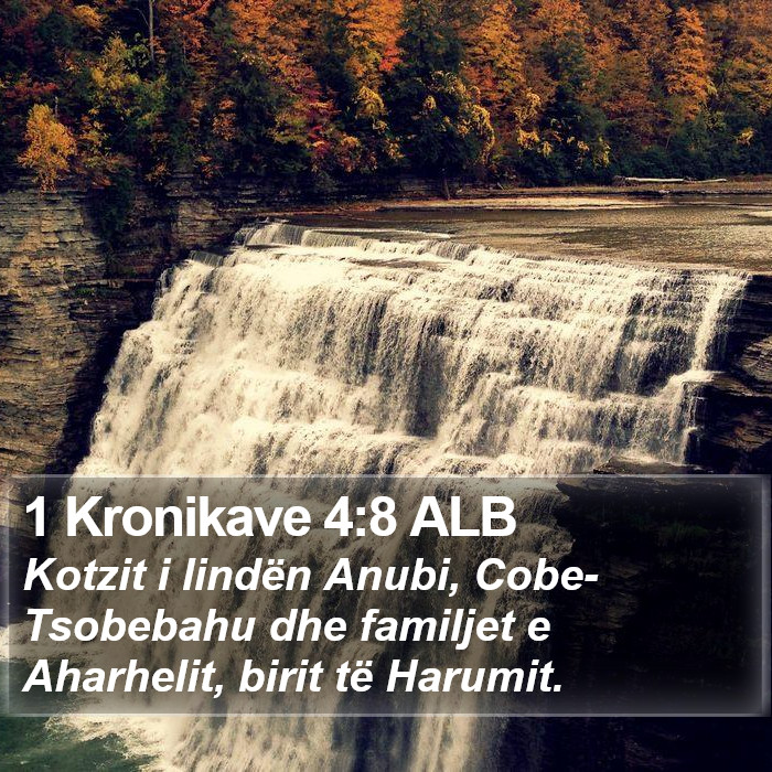 1 Kronikave 4:8 ALB Bible Study