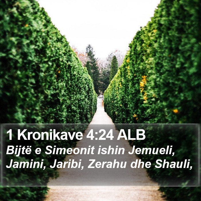 1 Kronikave 4:24 ALB Bible Study