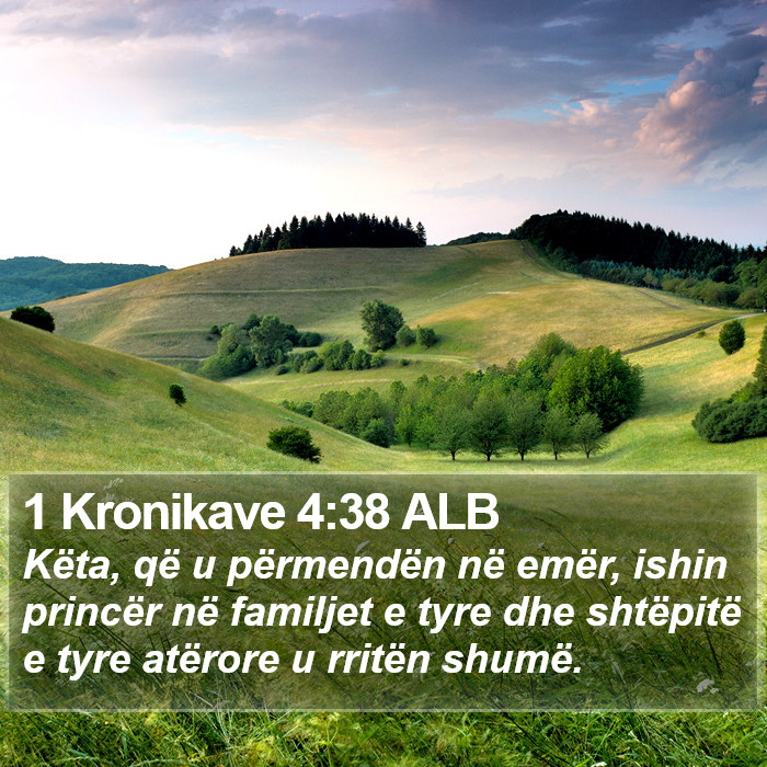 1 Kronikave 4:38 ALB Bible Study