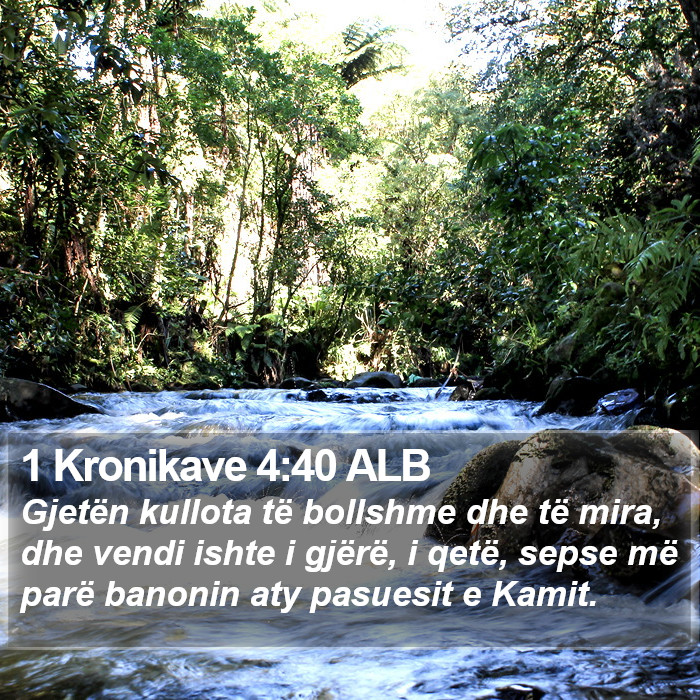 1 Kronikave 4:40 ALB Bible Study