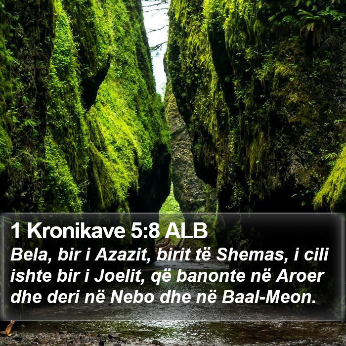 1 Kronikave 5:8 ALB Bible Study