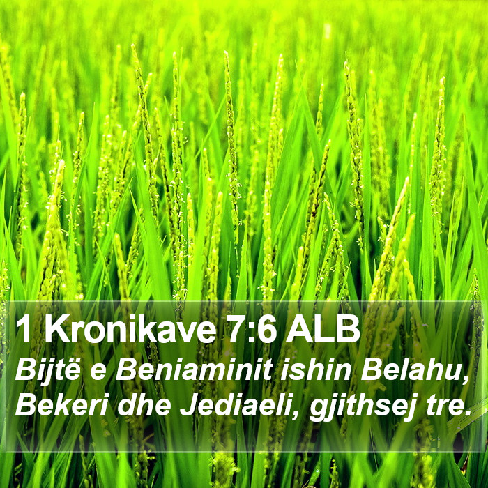 1 Kronikave 7:6 ALB Bible Study