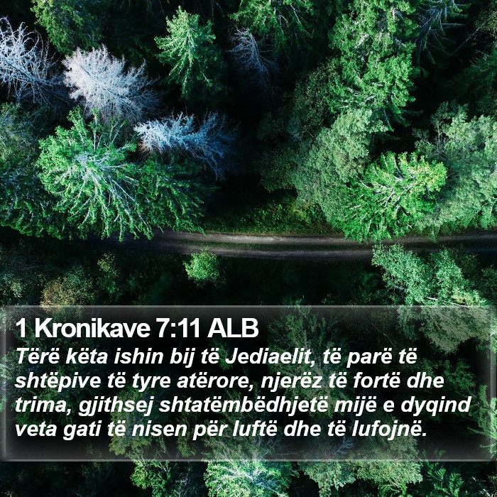 1 Kronikave 7:11 ALB Bible Study