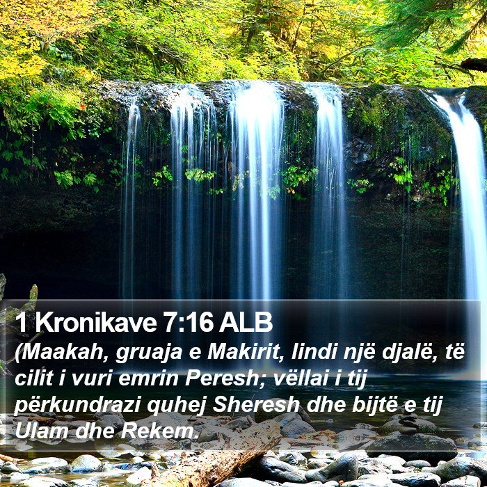 1 Kronikave 7:16 ALB Bible Study