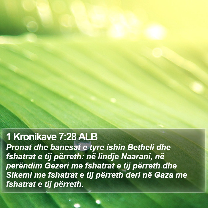 1 Kronikave 7:28 ALB Bible Study