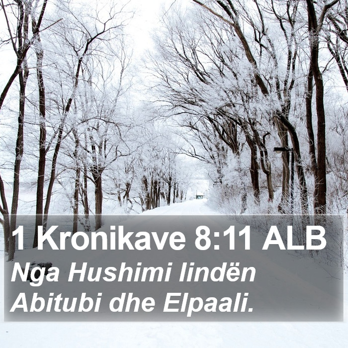 1 Kronikave 8:11 ALB Bible Study