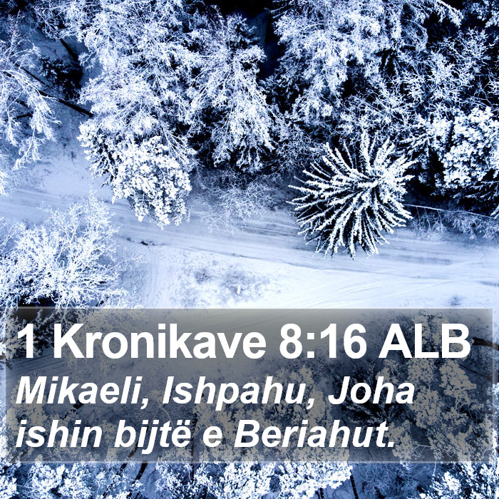 1 Kronikave 8:16 ALB Bible Study