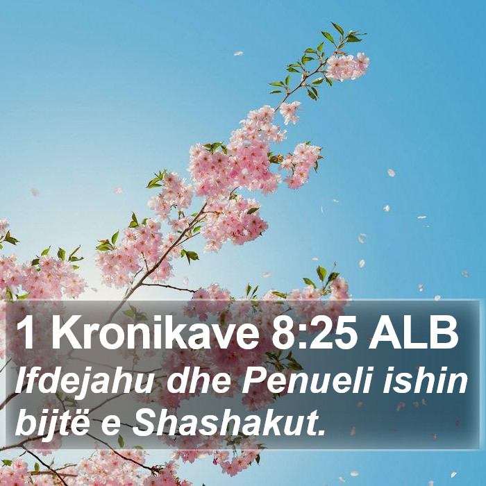 1 Kronikave 8:25 ALB Bible Study