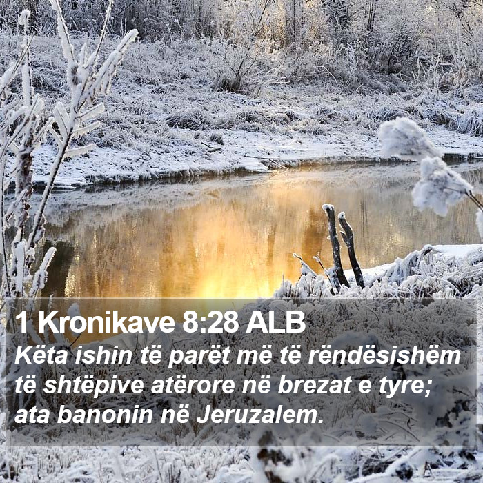 1 Kronikave 8:28 ALB Bible Study