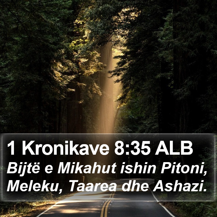 1 Kronikave 8:35 ALB Bible Study