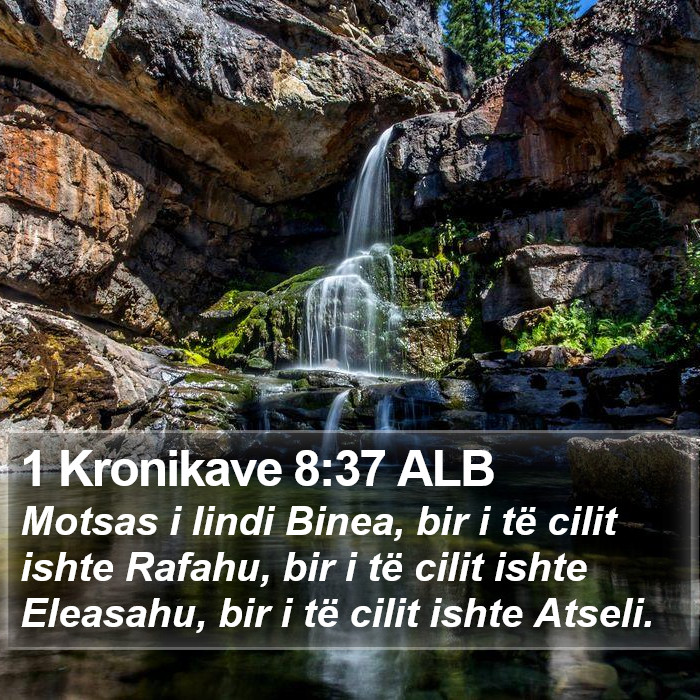 1 Kronikave 8:37 ALB Bible Study