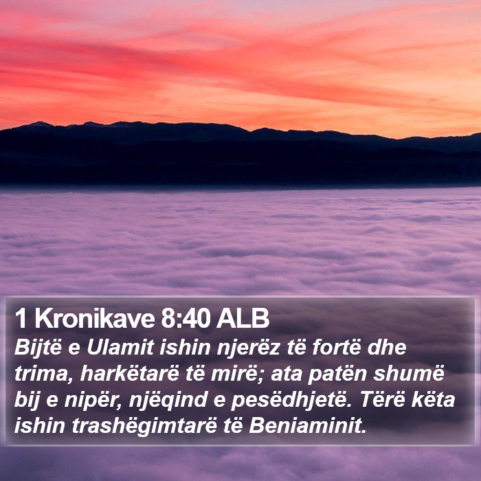 1 Kronikave 8:40 ALB Bible Study