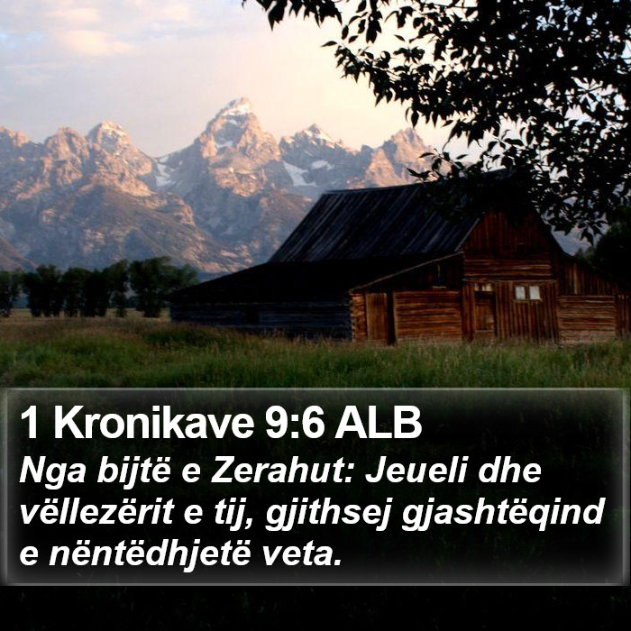 1 Kronikave 9:6 ALB Bible Study