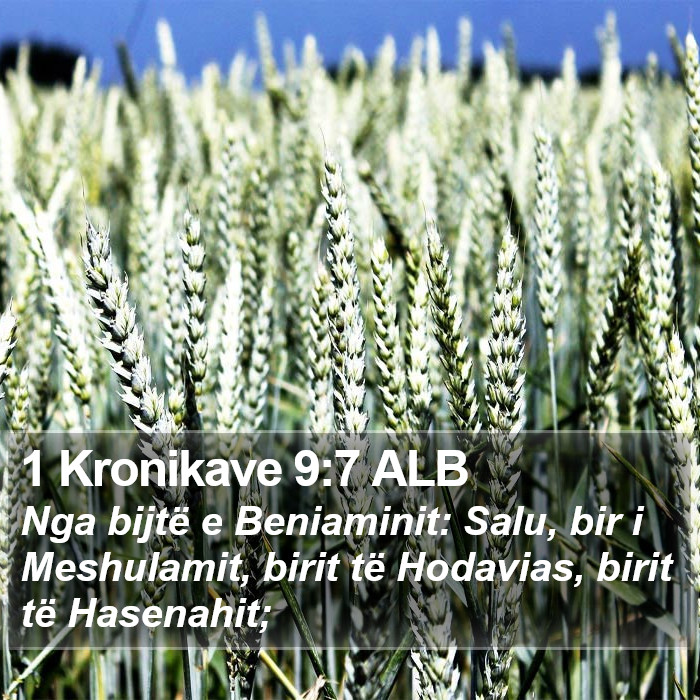 1 Kronikave 9:7 ALB Bible Study