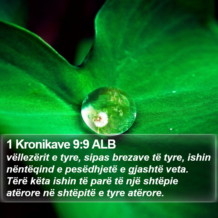 1 Kronikave 9:9 ALB Bible Study