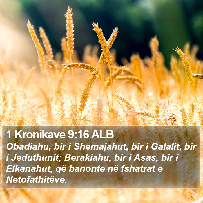 1 Kronikave 9:16 ALB Bible Study