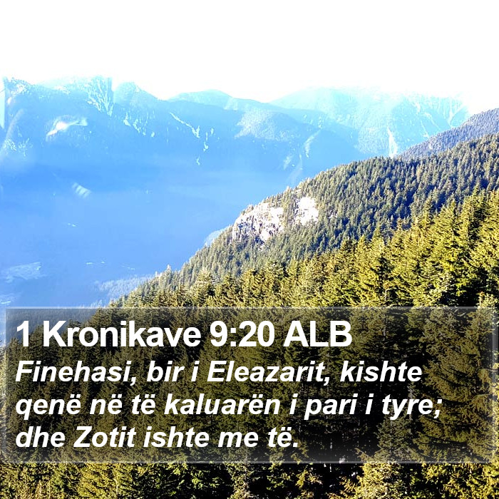 1 Kronikave 9:20 ALB Bible Study