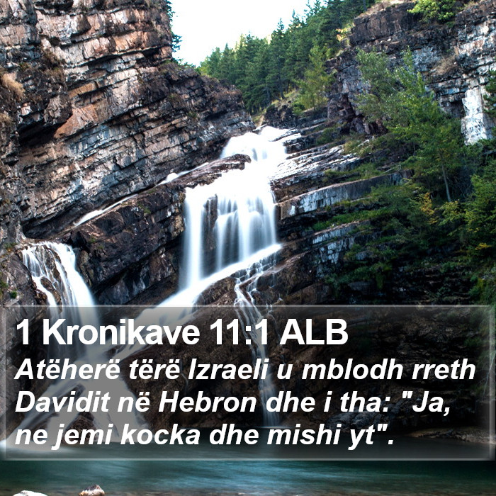 1 Kronikave 11:1 ALB Bible Study