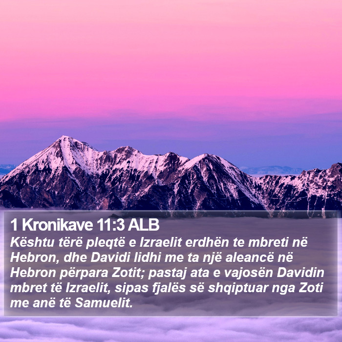 1 Kronikave 11:3 ALB Bible Study