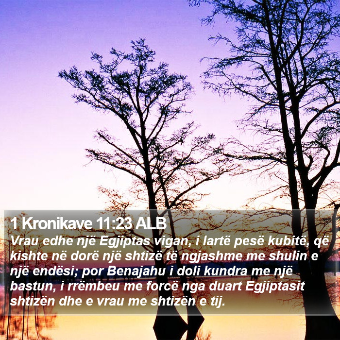 1 Kronikave 11:23 ALB Bible Study