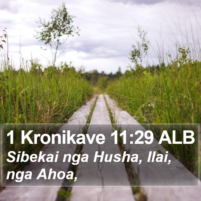 1 Kronikave 11:29 ALB Bible Study