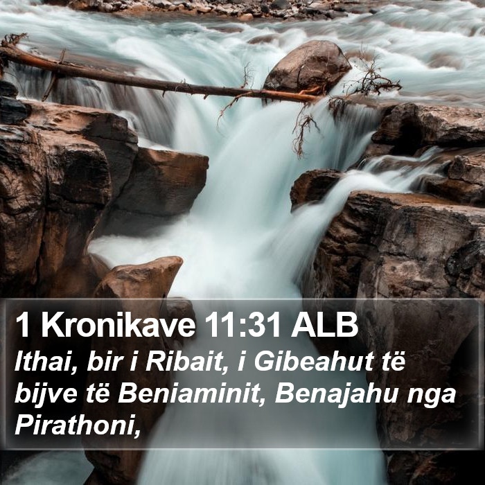 1 Kronikave 11:31 ALB Bible Study