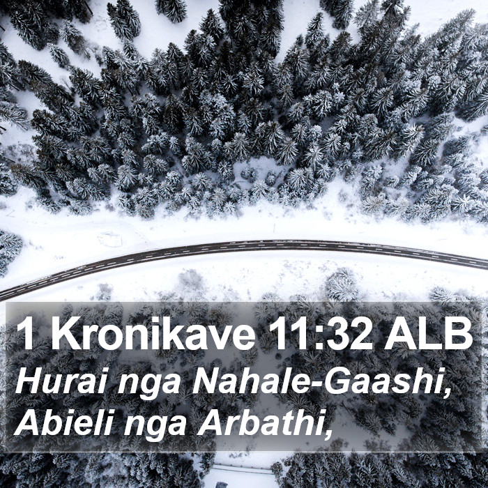 1 Kronikave 11:32 ALB Bible Study