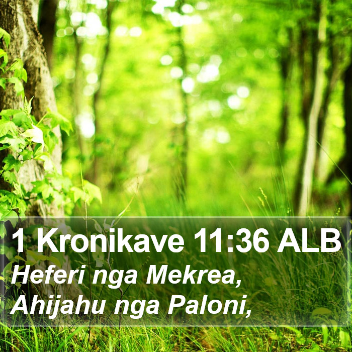 1 Kronikave 11:36 ALB Bible Study