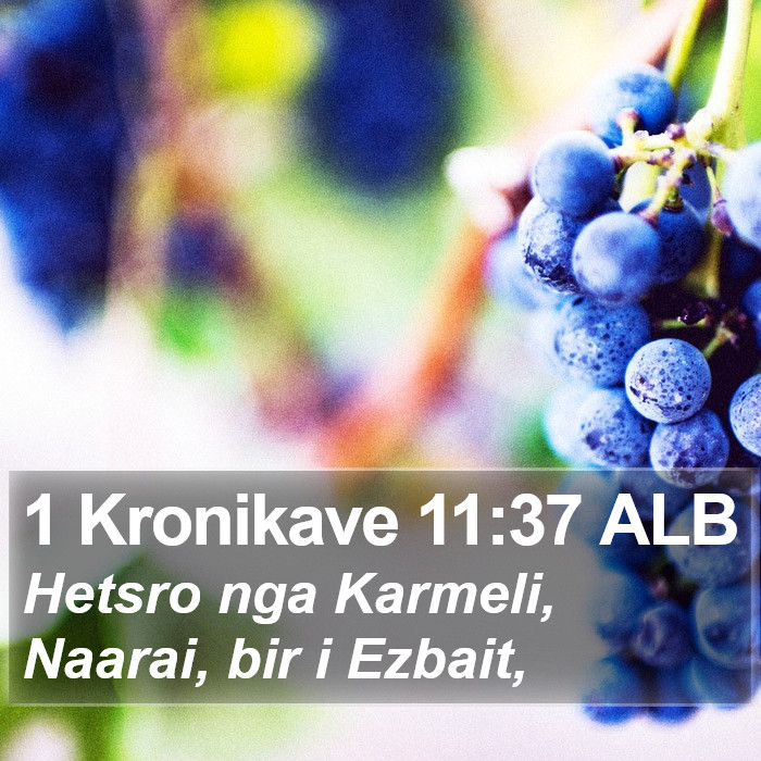 1 Kronikave 11:37 ALB Bible Study