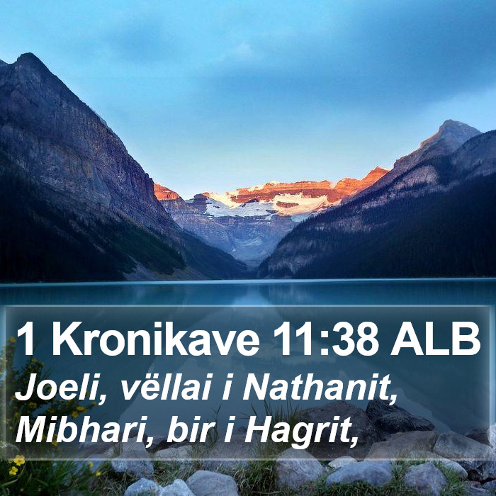 1 Kronikave 11:38 ALB Bible Study