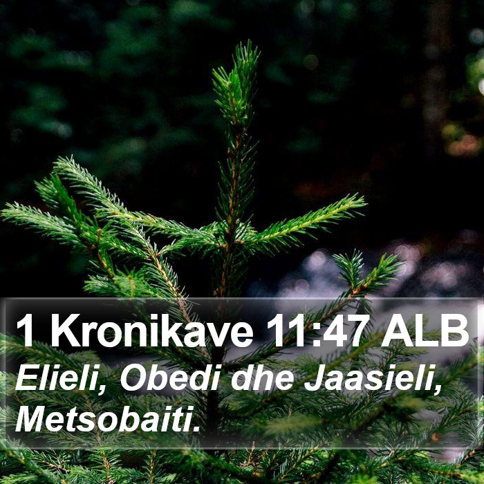 1 Kronikave 11:47 ALB Bible Study