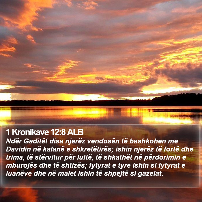 1 Kronikave 12:8 ALB Bible Study