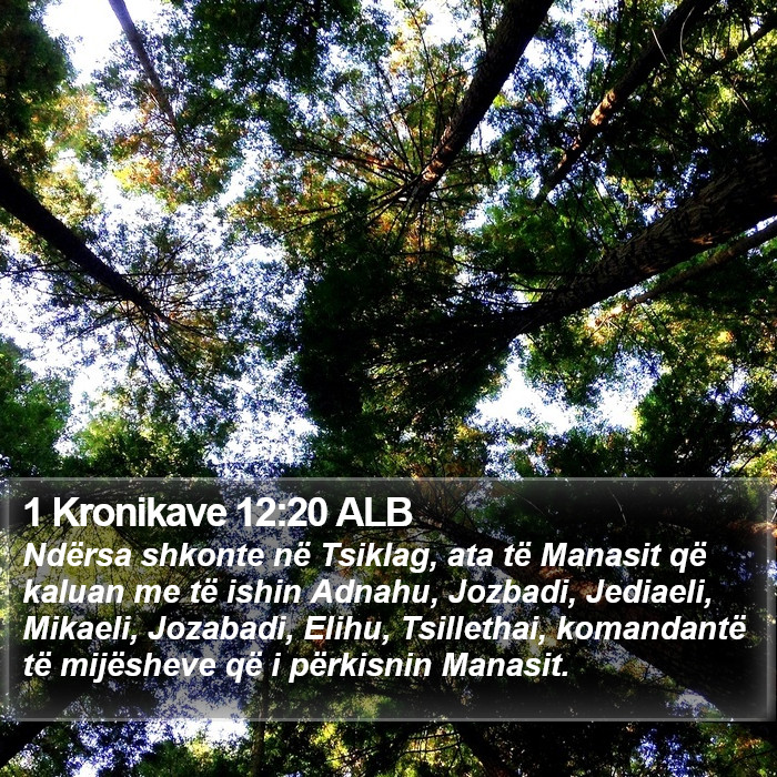 1 Kronikave 12:20 ALB Bible Study