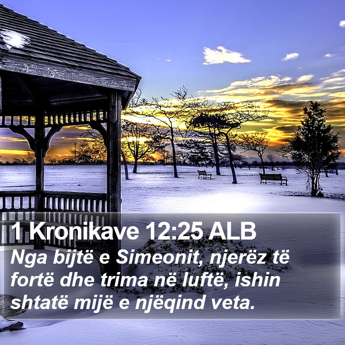 1 Kronikave 12:25 ALB Bible Study