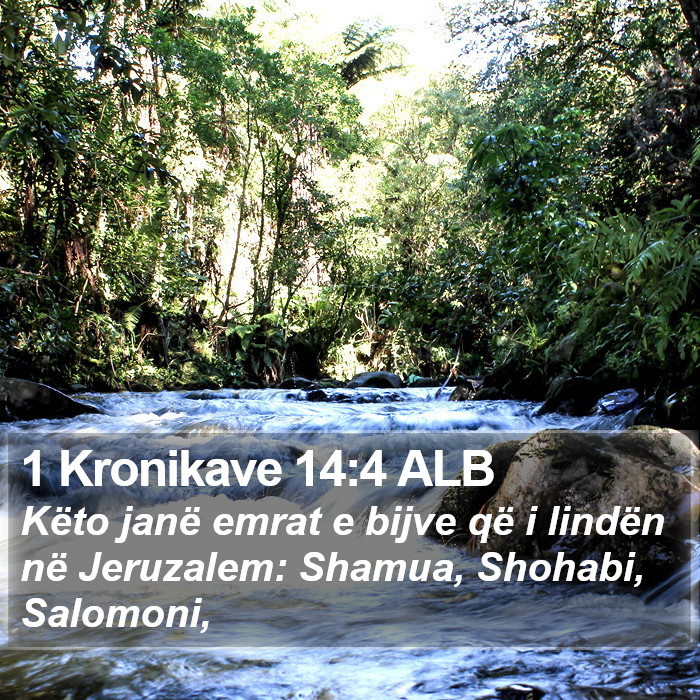 1 Kronikave 14:4 ALB Bible Study