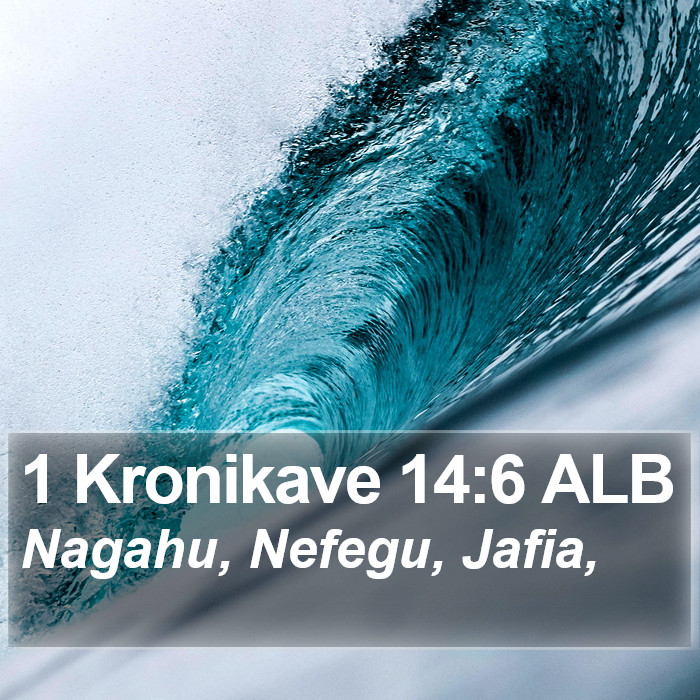 1 Kronikave 14:6 ALB Bible Study