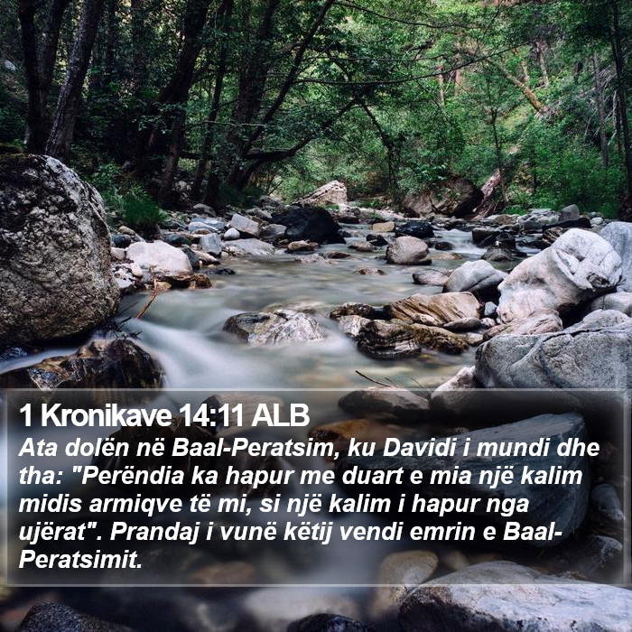 1 Kronikave 14:11 ALB Bible Study