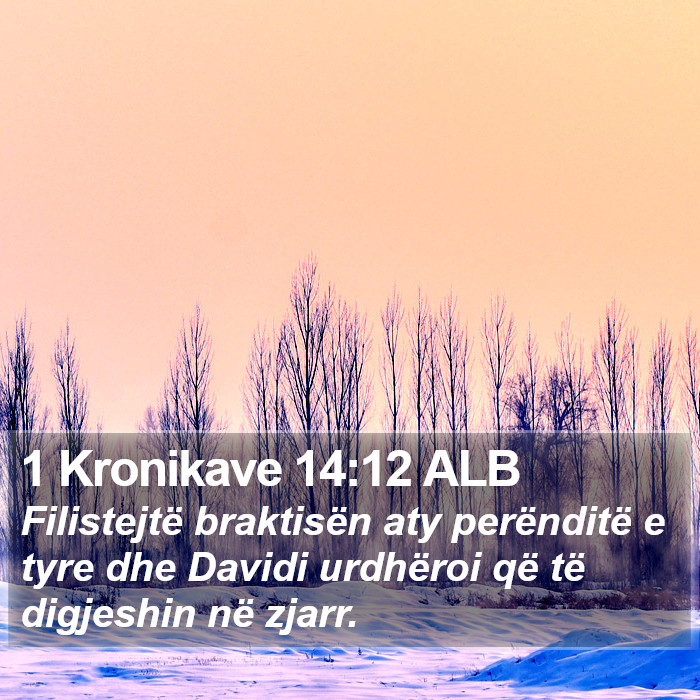 1 Kronikave 14:12 ALB Bible Study