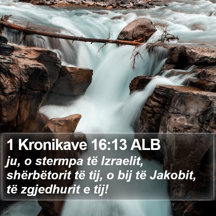 1 Kronikave 16:13 ALB Bible Study