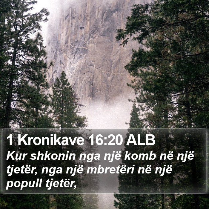 1 Kronikave 16:20 ALB Bible Study