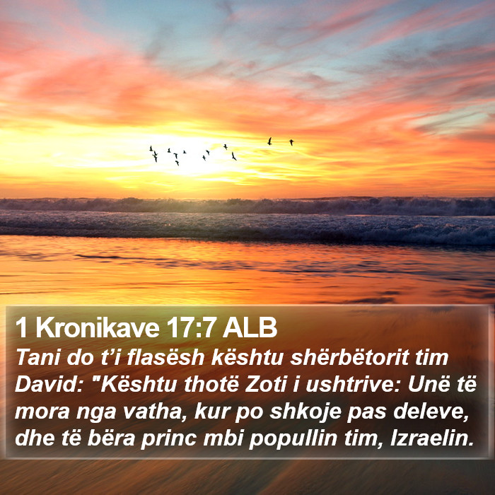 1 Kronikave 17:7 ALB Bible Study