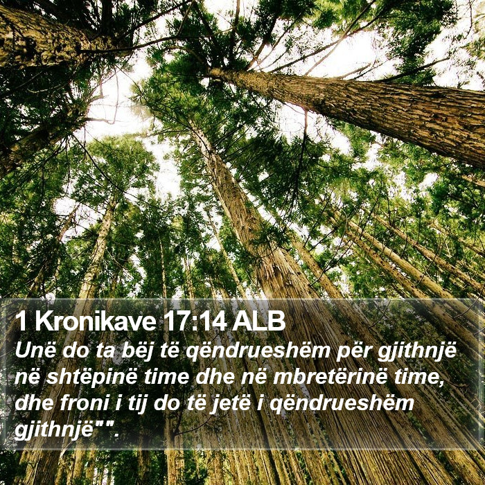 1 Kronikave 17:14 ALB Bible Study